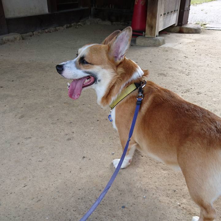 C8e15119 de6e 4635 843f 1f32d6cc4c58 1600132038430