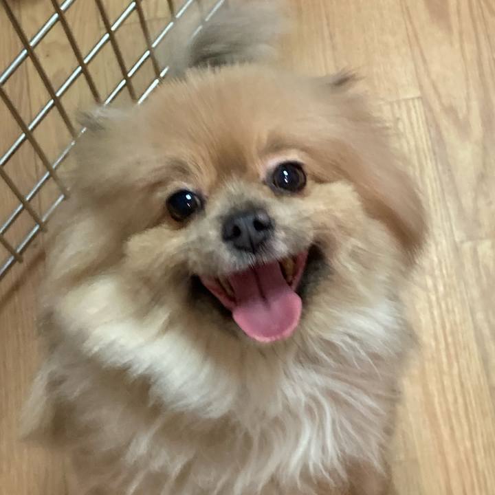 C8e16b24 ef9d 4323 a991 977b443a28b8 1612166256121