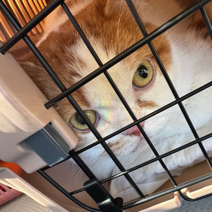 C8e1819a f072 417c a78e 2f9aa8522b4d 1772849607781