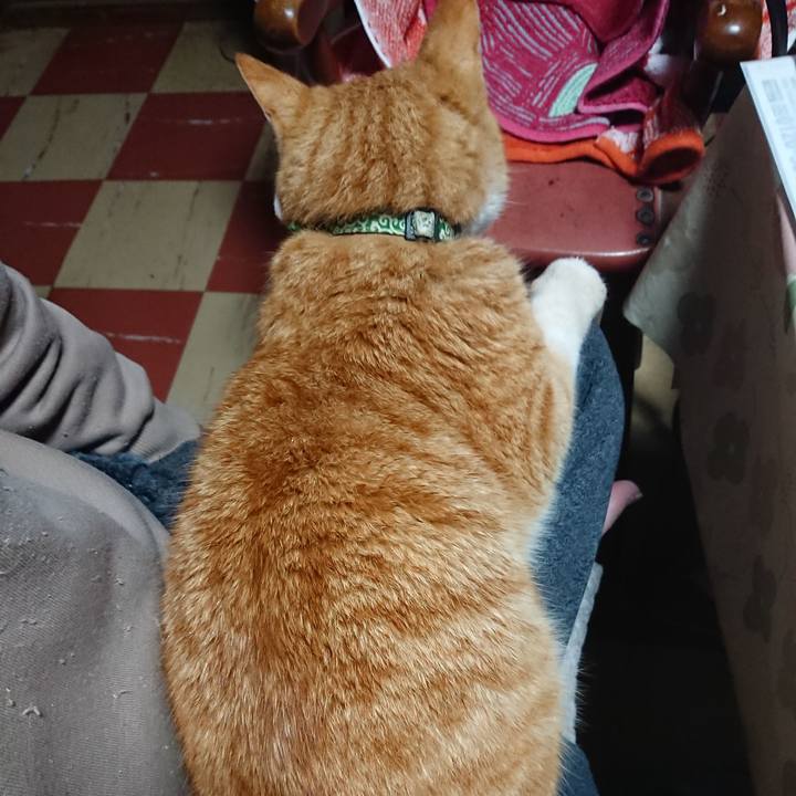 C8e1b19a e651 4cc6 809f fd52825ab6c2 1585773535201