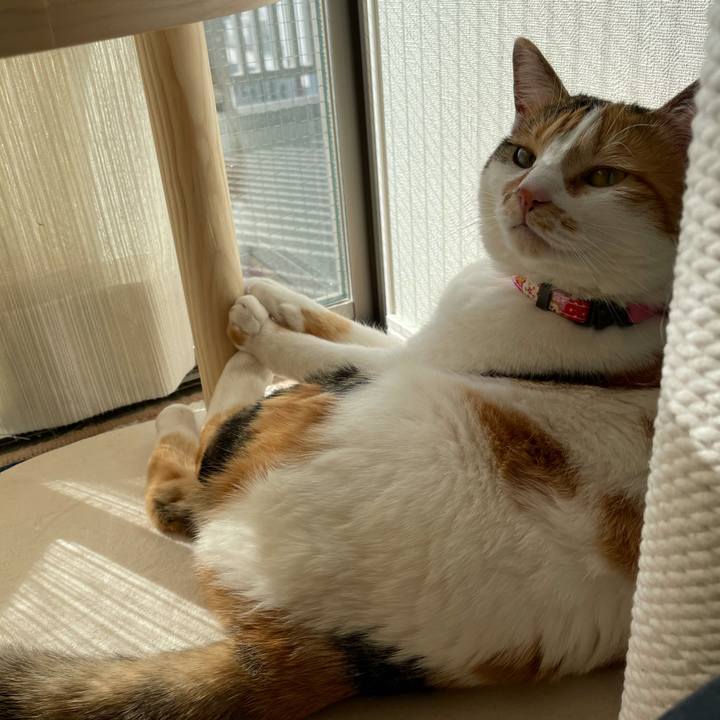 C8e1bbb5 7e54 4ad0 ad28 04fbb61e981e 1614490597043