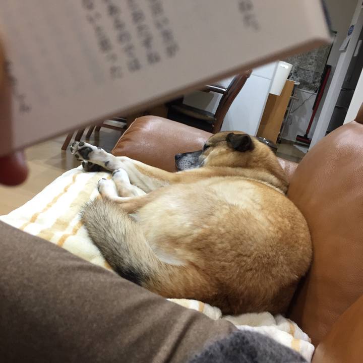 C8e1ff72 aab1 4738 8883 7d6cffaf3c6a 1547291596011