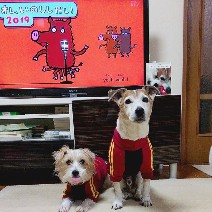 C8e2871c a188 4f62 a327 9e26234ff9bb 1577399249721