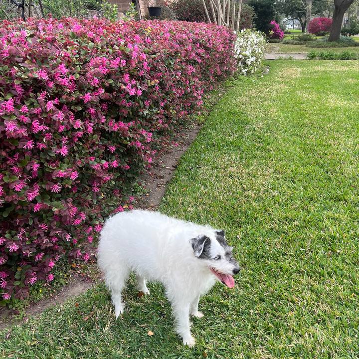 C8e290c5 ac0a 4a25 acab 3decbfc0ad48 1741994336846