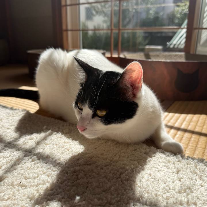 C8e2f71f 1f3f 4d4c 8dba f0f2188c9b6e 1771984277490