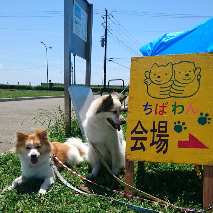 C8e3359e 7e3e 4fc7 96d3 0c03a1a63f5e 1528023741743