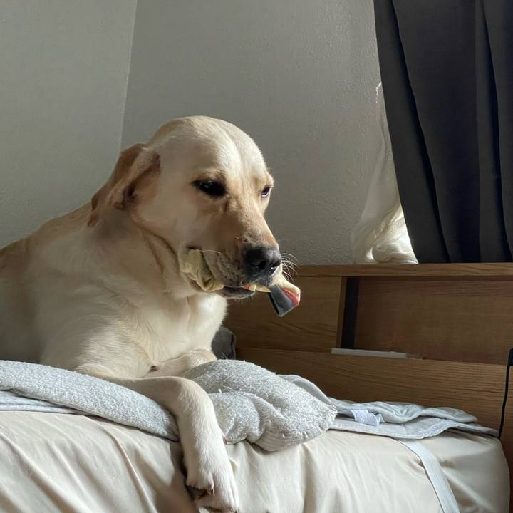 C8e35ca8 9dcb 49ee b662 128fe4e1d4ea 1658705324549