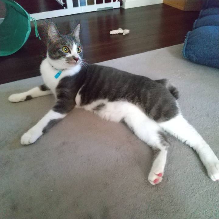 C8e367ef ea5f 4739 a43a 762102f74e84 1599191925446