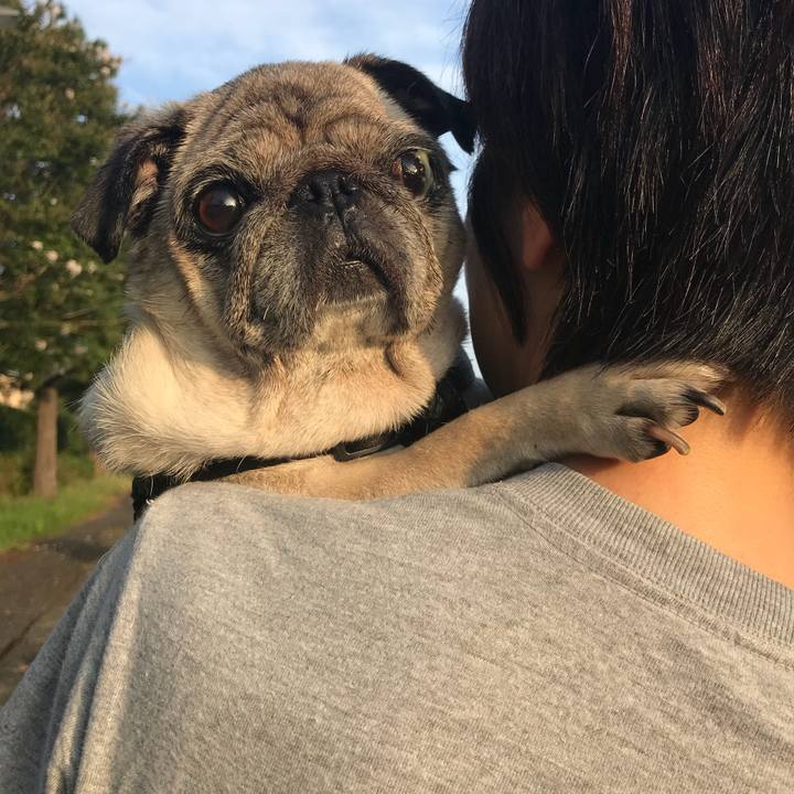 C8e36f2b 9aff 4e6b a061 d271775b8324 1537227061718