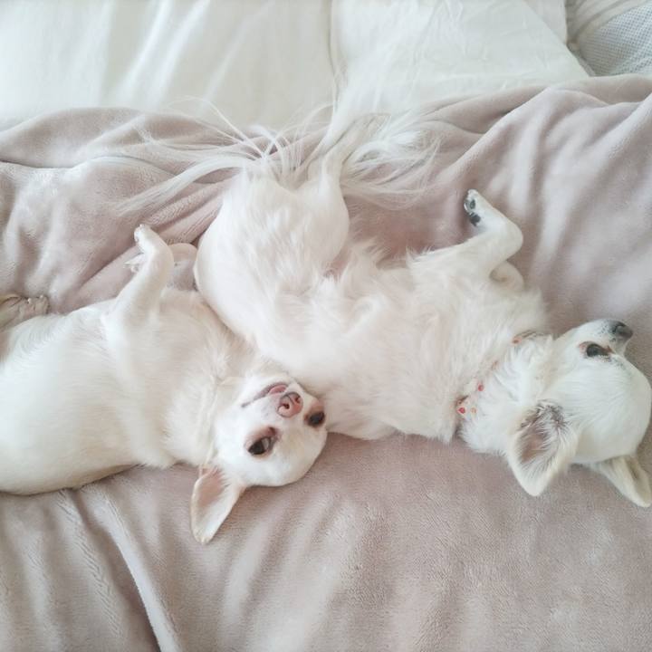 C8e3816a d78e 4a45 a345 1aeff16c2509 1771806241159