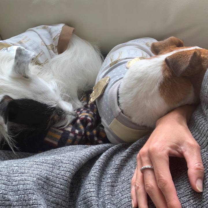 C8e397e9 a804 4cc5 b579 62583038201e 1575857608324