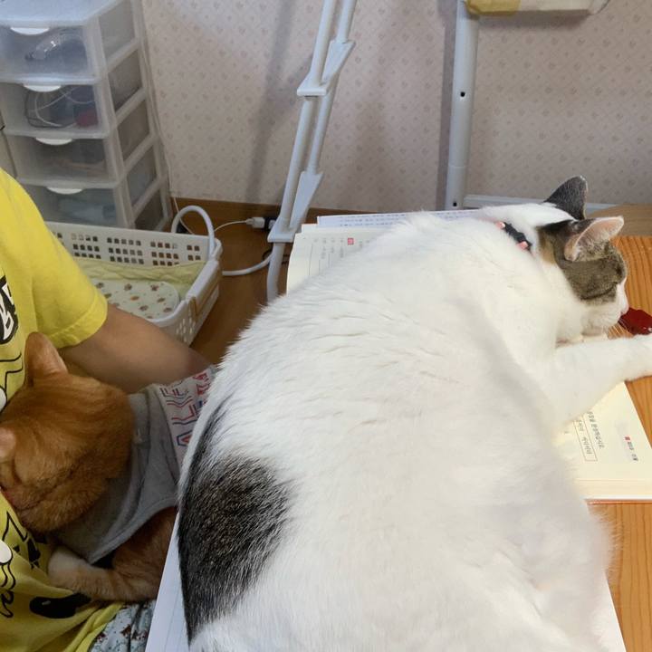 C8e3ddc6 d540 4016 9c73 fd3dac5ae1dd 1633210594060