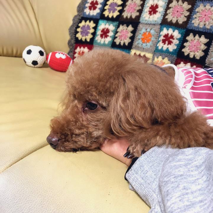 C8e3e0be 11b8 4f3b b3d1 2768fb463bc5 1556674575458