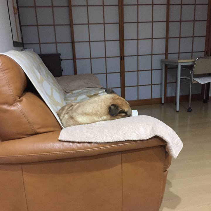 C8e3f792 a682 41e3 ae44 19ebc2a12b26 1571915937348