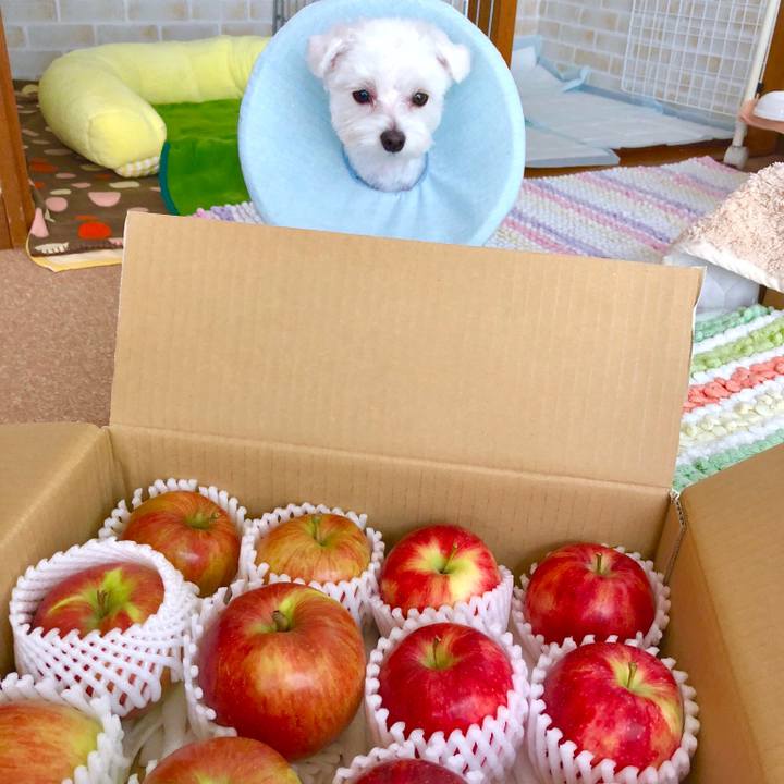 C8e3f830 5e44 48bb 8af3 e60d96906234 1538804685895