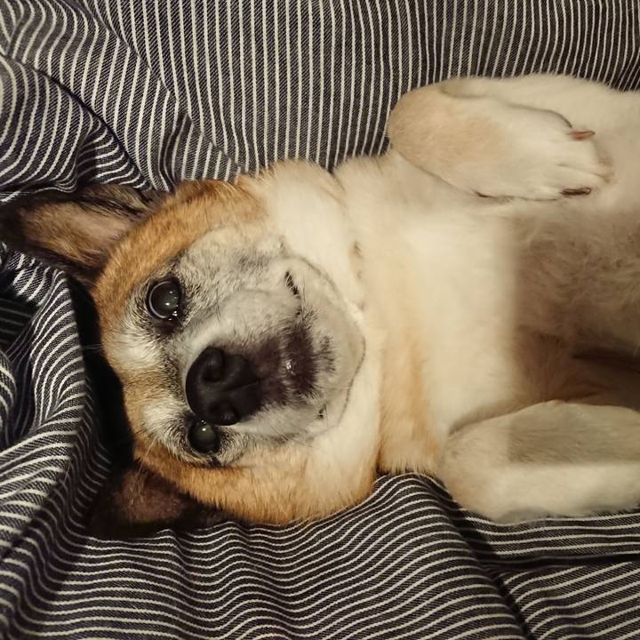 C8e40ae4 d925 4ac0 a3f2 11357debd77f 1572009402615