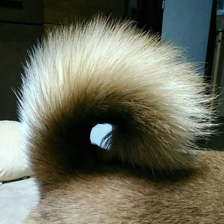 C8e43dc3 a566 4ae8 9edf b777479d0e0c 1579356219060