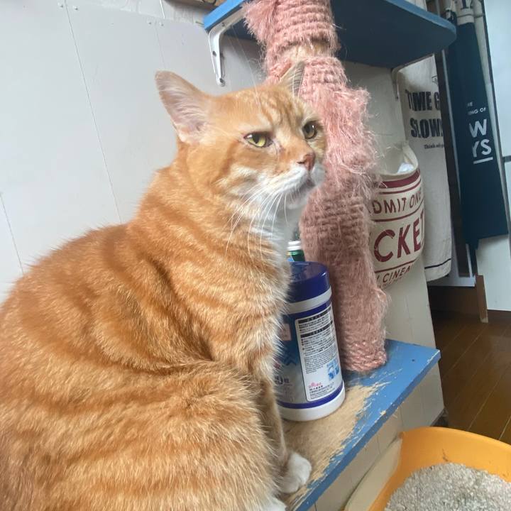 C8e4a6e8 d9f1 460a 9945 2254ee890f56 1658019396354