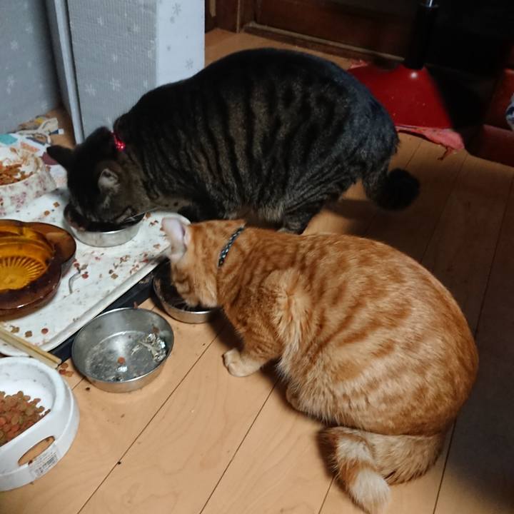 C8e4b3d7 9af5 41aa 8ecb 11540fffb1bd 1642970550658