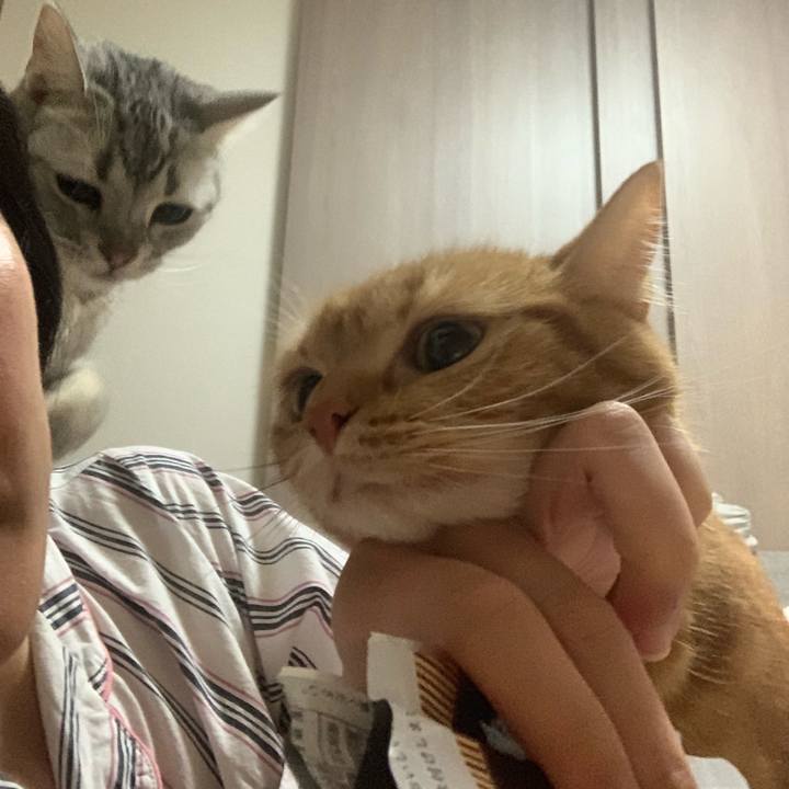 C8e4b702 9df0 4c7d bf75 d14a4a3bfb12 1558787207815