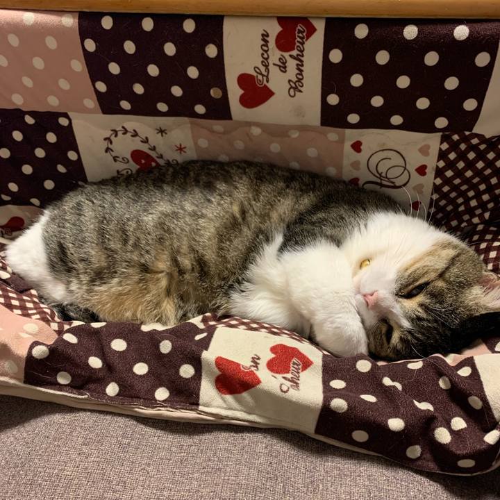 C8e4bcd4 e6ce 4918 a387 f6c8fc9dc4bc 1645490510808