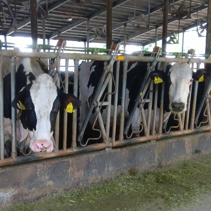 C8e4d942 2028 4bbb ab29 928dd751655c 1714045912351