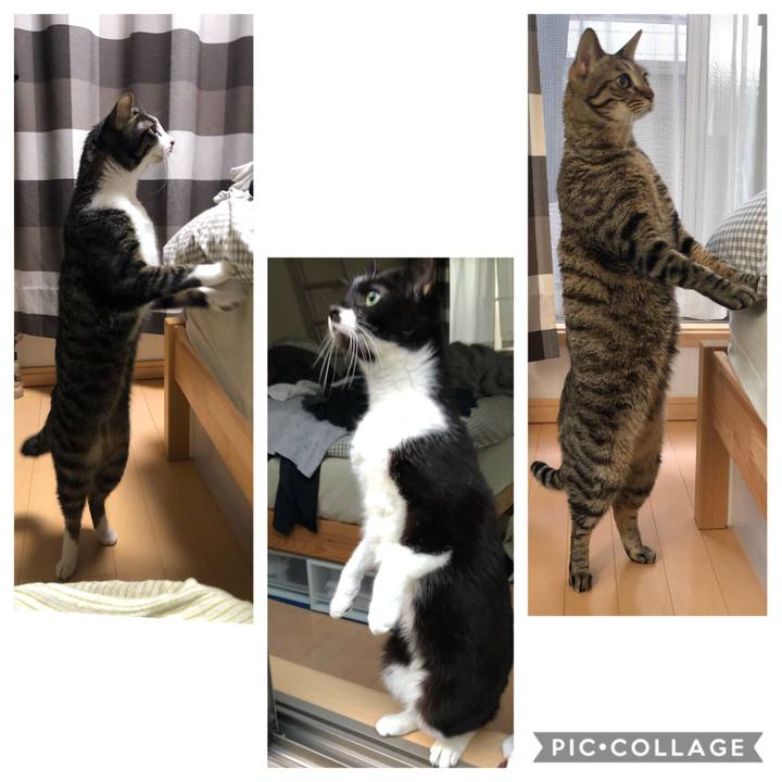 C8e4df84 fae1 4214 a0b9 827e90a1f2e7 1579005304867