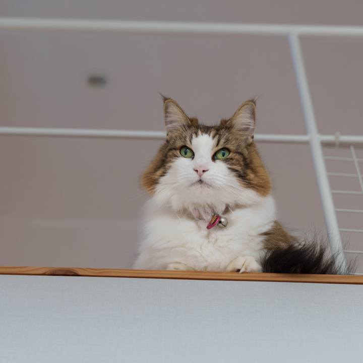 C8e4f300 9bd6 43db 970d 4be30d98553c 1729391196484