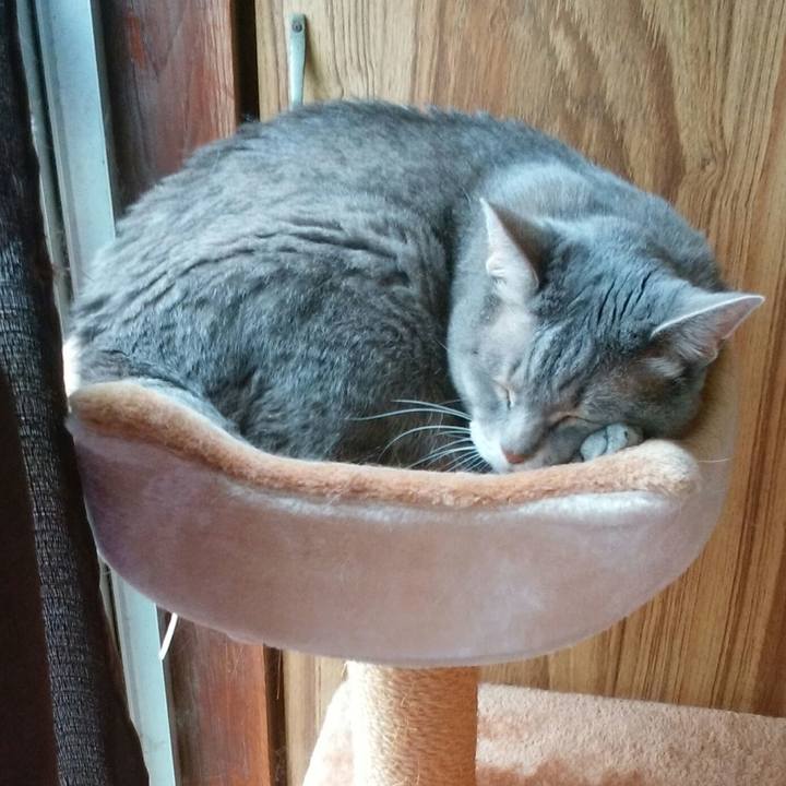 C8e51b9f 74a1 4316 b91d 6d2a0b7396cd 1563077217726