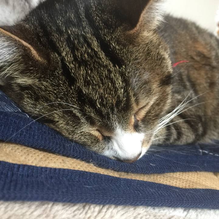 C8e52193 1deb 487f 8717 6c386323fc39 1556584280681