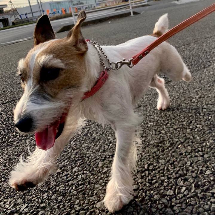 C8e53a4d 4e4b 40bb a4e3 a3772a523f8a 1607500959791