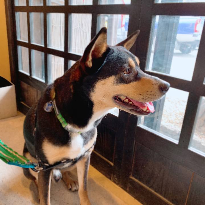 C8e5d407 79eb 45dd 848b af075a0344ae 1556718877580