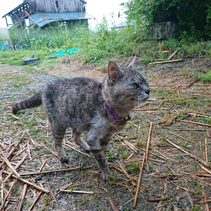 C8e61303 2b18 449e bbf1 e93427176551 1593550475522