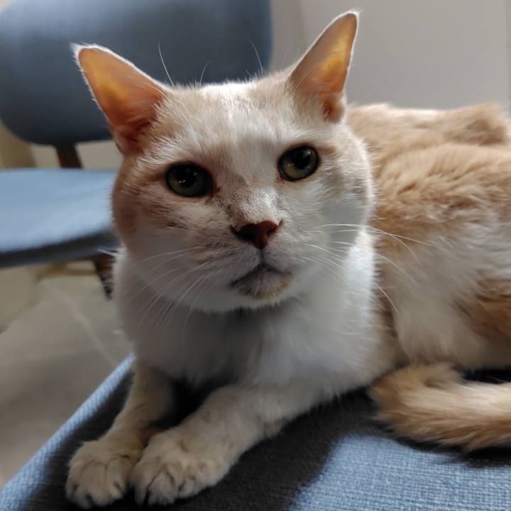 C8e6253a ec49 4c17 a3d0 8d065bd5eb75 1764249342589