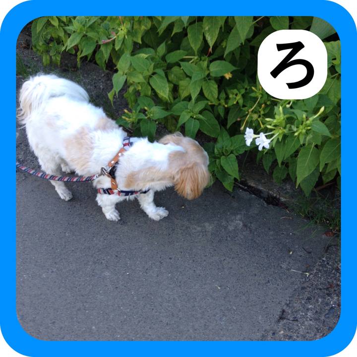 C8e6548f 3b46 45a9 9690 428e74398eaf 1514960738657