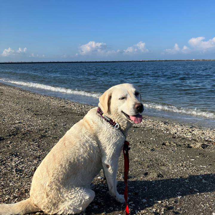 C8e67c06 73dd 4b59 8691 467cf639d105 1691332221488