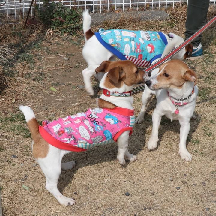 C8e67ff6 f3db 43f3 ba1f d70e2237a5c6 1519539432360