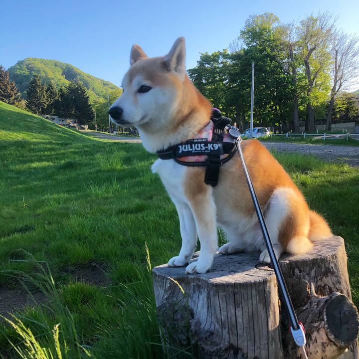 C8e6a708 ab92 4ba4 acda a905cb510f85 1590055877237