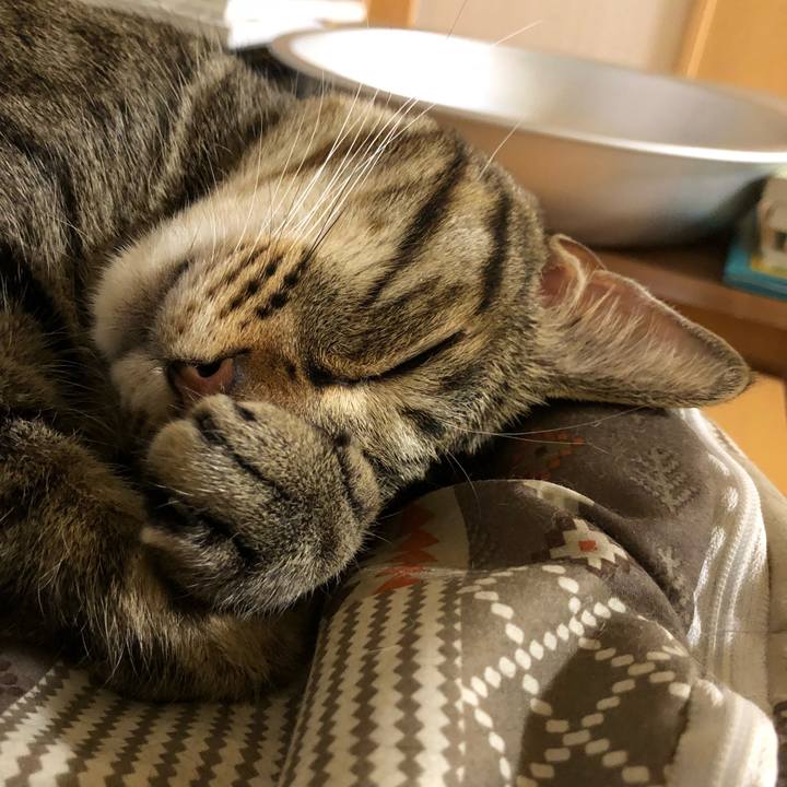 C8e6c34c db49 4e06 8bd9 7272e4a9ab06 1529597265653