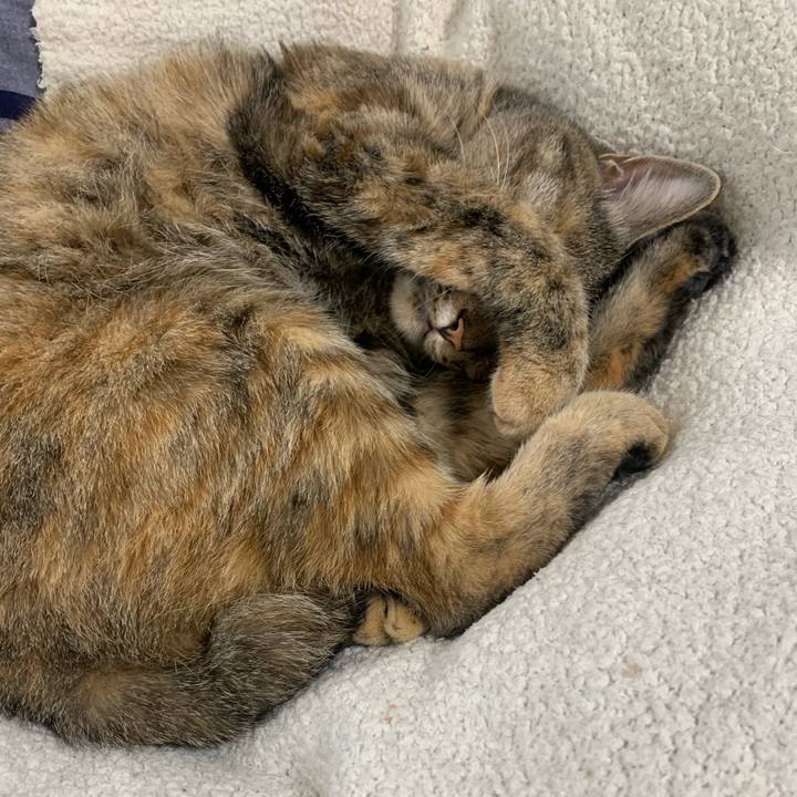 C8e6c780 ca54 4ee2 971d 7ba8e9eaff38 1667976332751