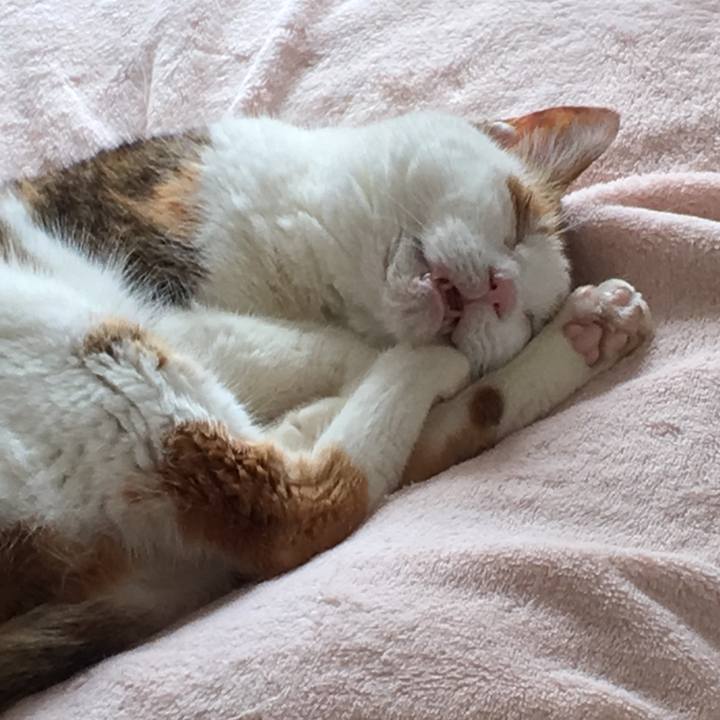 C8e6f553 124e 4e2d af3a ed209b821fe0 1557832475977