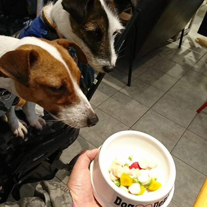 C8e6f7b9 74ce 4162 a43c 7957036fcb3d 1551937901535