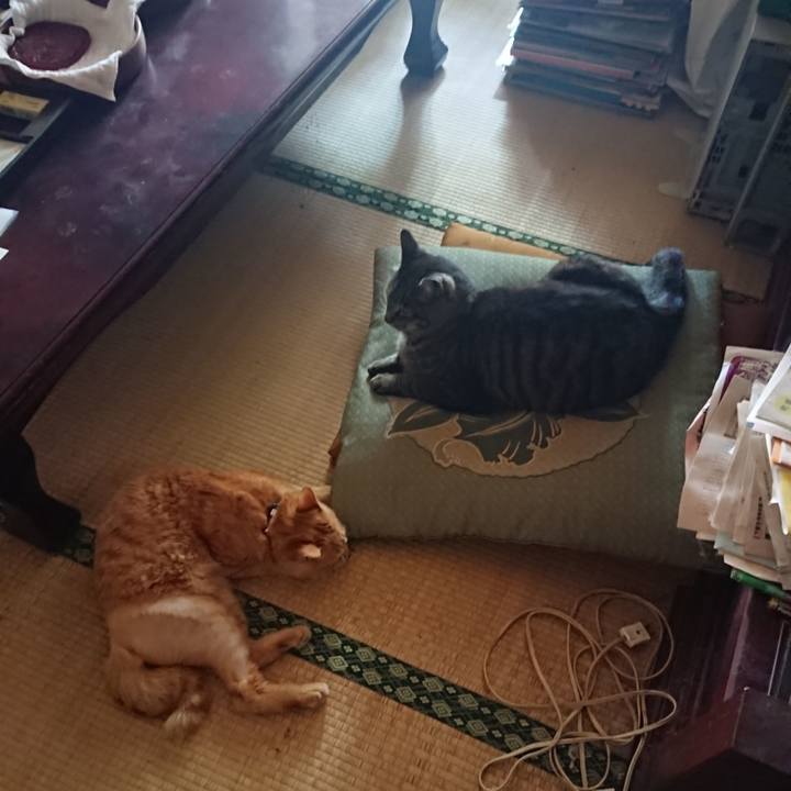 C8e74b46 58d7 461d 96ee 1def4a5ae3f8 1656198526403