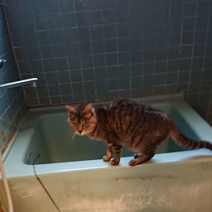 C8e75fc2 1ceb 4826 963d 4495d2bd28f7 1588324462928