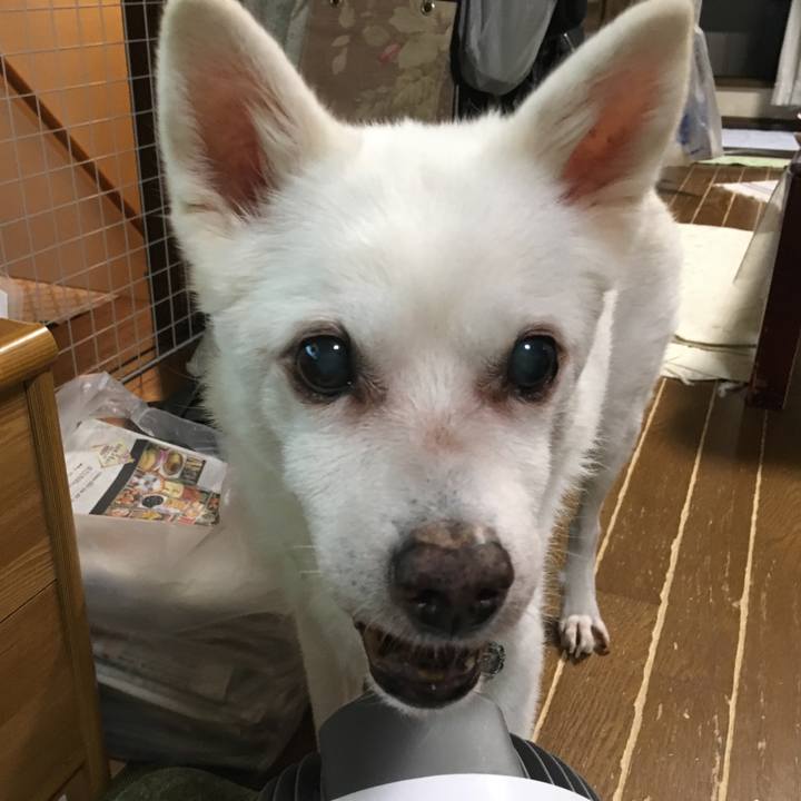 C8e79578 4dfa 4748 a3e4 4ae4e48edd86 1538179036247