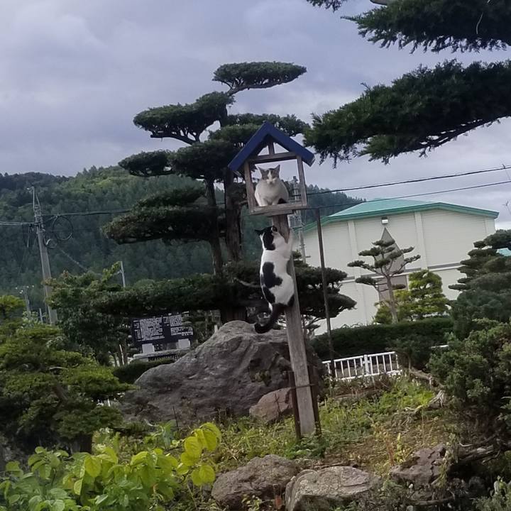 C8e79db0 c49f 4e2a 814c 71581141ee0c 1568960933679