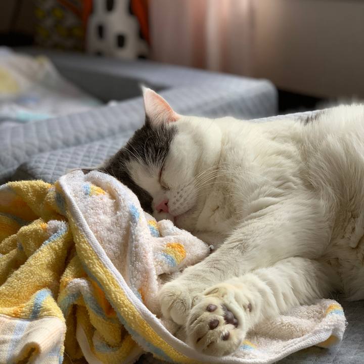 C8e7c5e9 4b42 44fc 8148 a58acb191ddf 1603589200675