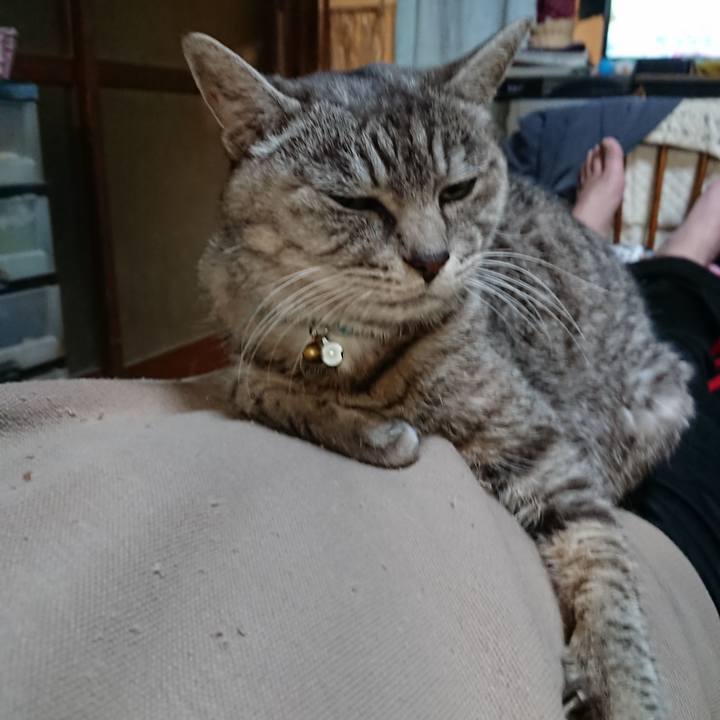 C8e7c938 f7ec 4c45 8c8b 17e09429e6c8 1573903078818