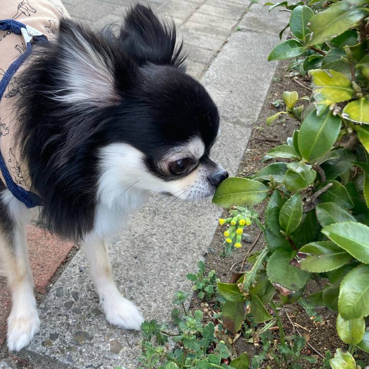 C8e7dac2 874a 4a95 8a28 ce03c7cbee36 1678640239533