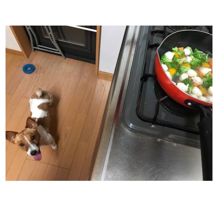 C8e87bb4 6090 4804 9d2e d851e5b2291f 1627556700152